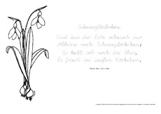 Nachspuren-Schmuckblatt-Schneeglöckchen-Storm.pdf